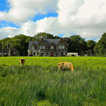 Bed and breakfast House 3*