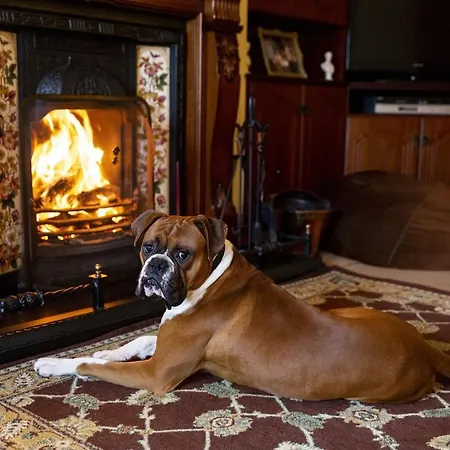 House 3* Dunmanway