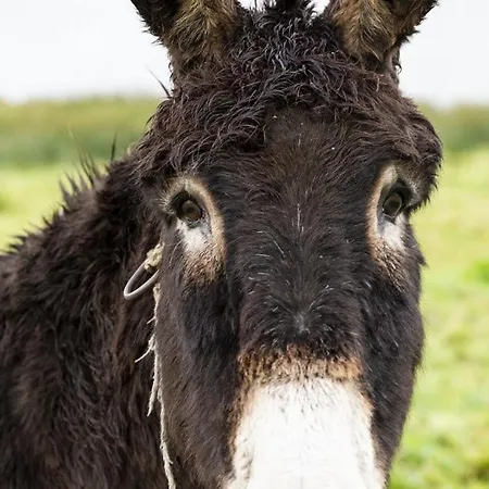 House Bed & Breakfast