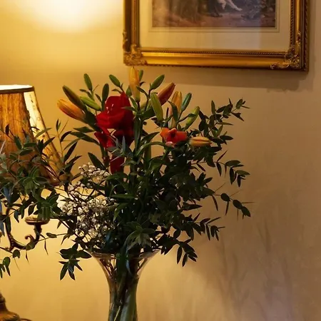 Bed & Breakfast House 3*