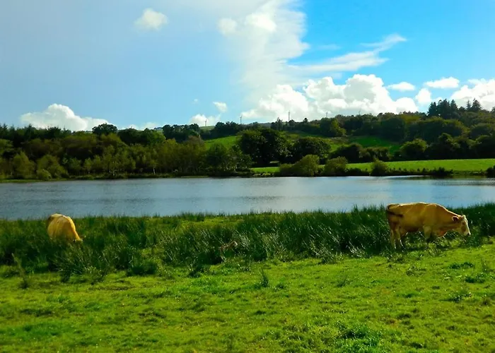 House Bed & Breakfast Dunmanway