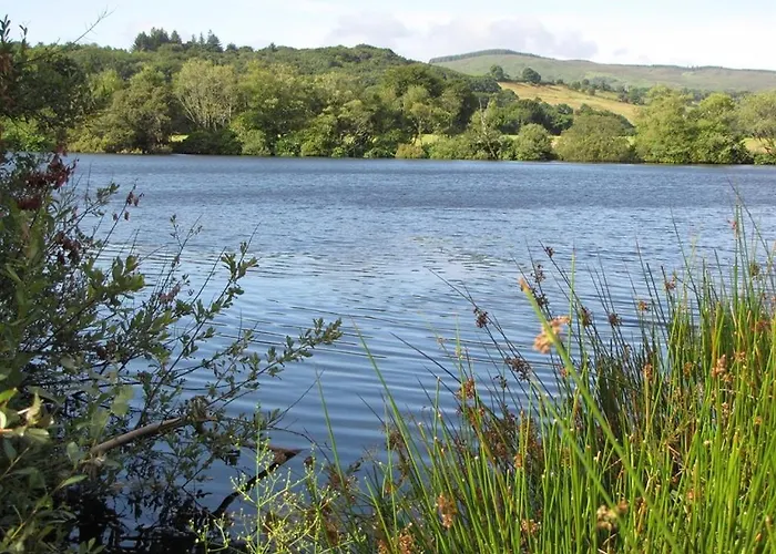 Bed & Breakfast House Dunmanway