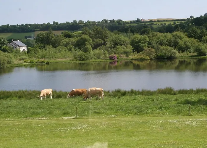 House Bed & Breakfast 3*