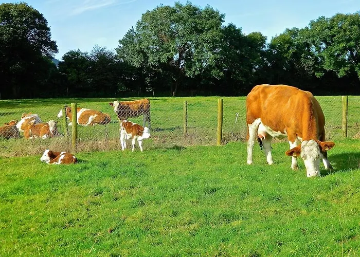 Bed & Breakfast House 3*